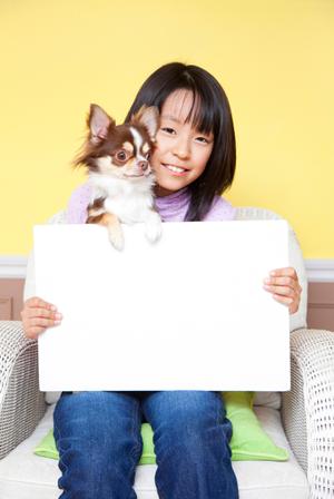 動物病院を横須賀市で探している方へ