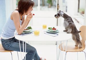 珍しい動物とカフェの融合させたお店