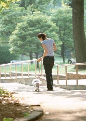 京都市でおすすめの動物病院があります