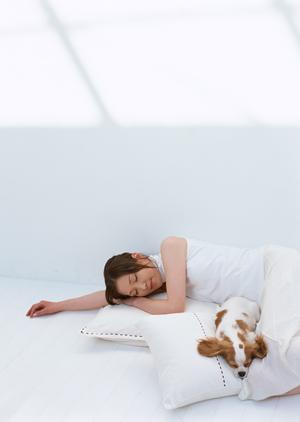 信頼と実績のアサンテによるシロアリ駆除サービス｜即日対応・土日祝も対応可能