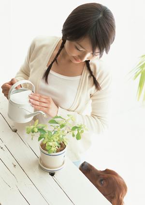 信頼の東証プライム上場企業が提供するシロアリ駆除サービス ? 即日対応と土日祝日も受付